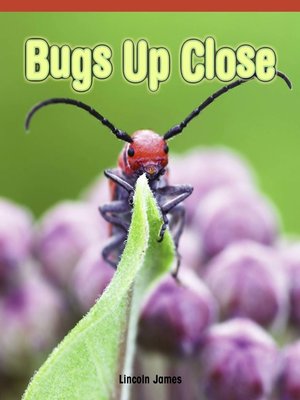 cover image of Bugs Up Close